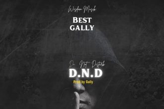 Best Gally DND
