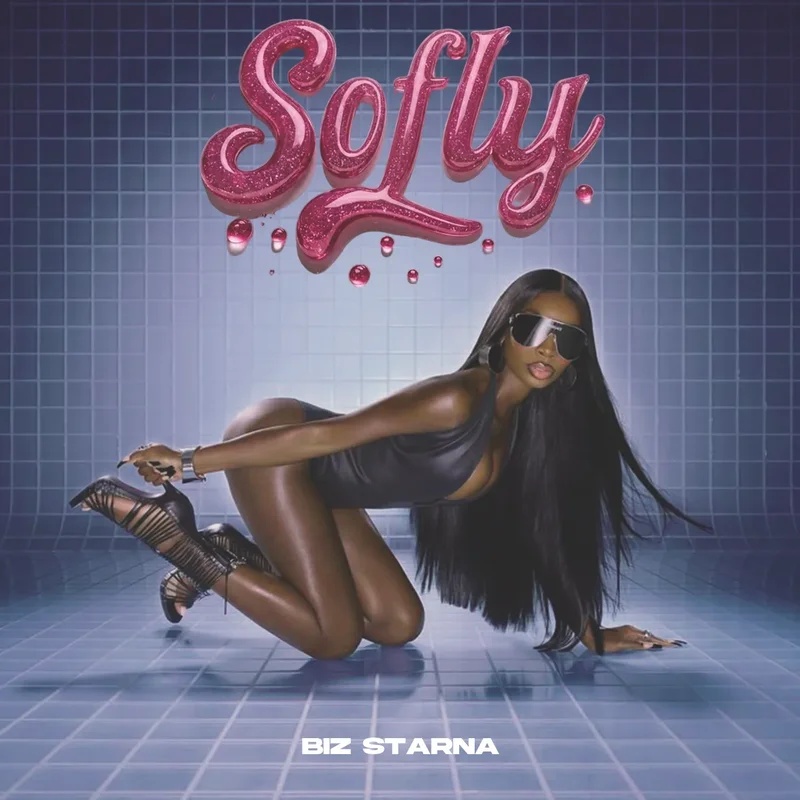 Biz Starna – Sofly