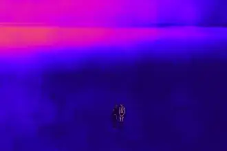 Camidoh – Amina