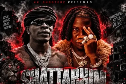 Dj Manni Shatta Bhim Mixtape Vol.2 2026