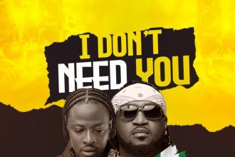 Fancy Gadam Ft. Rude Boy – I DONT NEED YOU