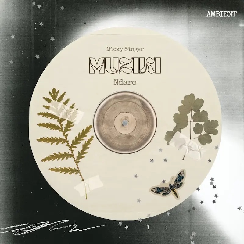 Micky Singer Ft. Ndaro – Muziki
