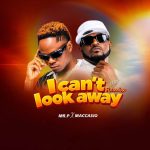 Mr. P X Maccasio – I Cant Look Away Remix