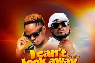 Mr. P X Maccasio – I Cant Look Away Remix