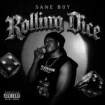 Sane Boy Rolling Dice