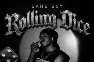 Sane Boy Rolling Dice