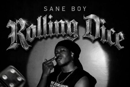 Sane Boy Rolling Dice