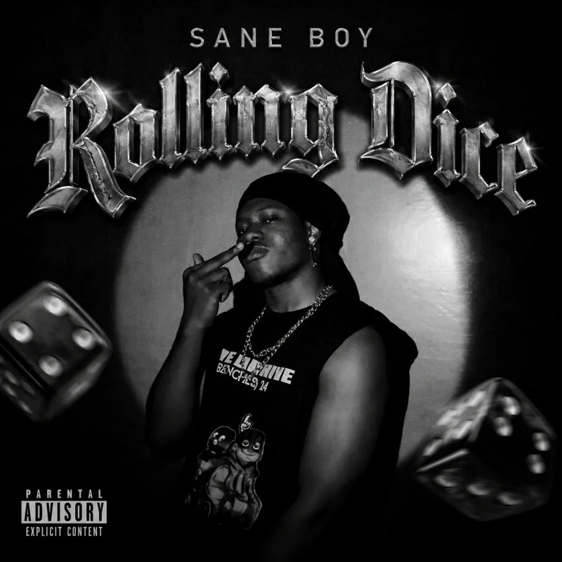 Sane Boy Rolling Dice