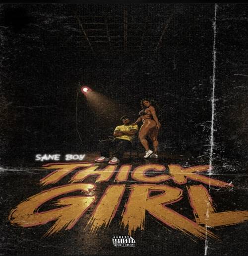 Sane Boy – Thick Girl