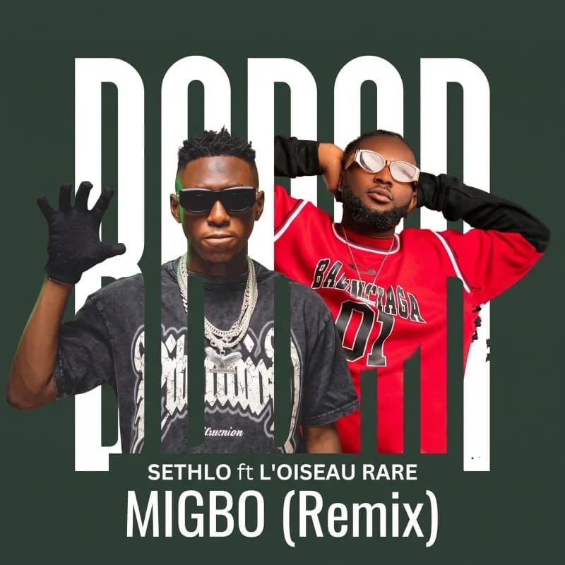 Sethlo LOiseau Rare Migbo Remix