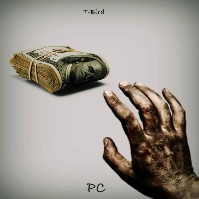 T Bird Wasiu PC