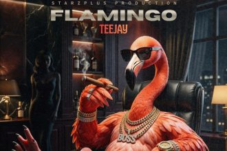 Teejay Flamingo Ft. Starzplus