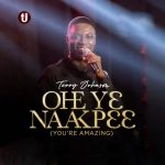 Terry Johnson Ohe Yɛ Naakpɛɛ You Are Amazing