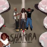 Top Wood – SHAKIRA Ft. ACE ILLY Larruso