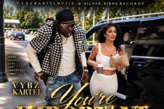 Vybz Kartel Youre Important
