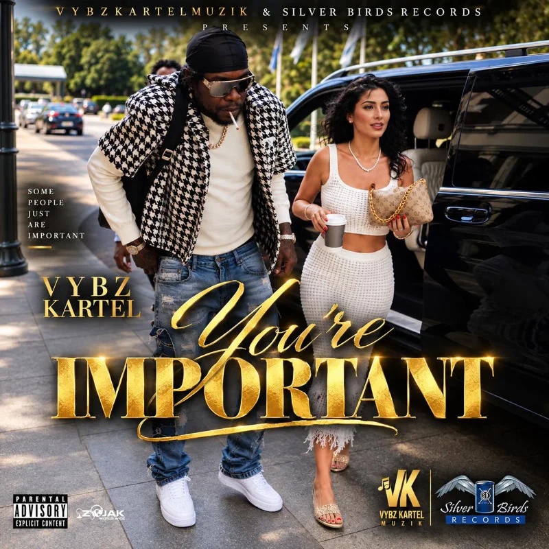 Vybz Kartel Youre Important