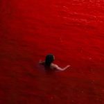 Elvinthedon – Under Control